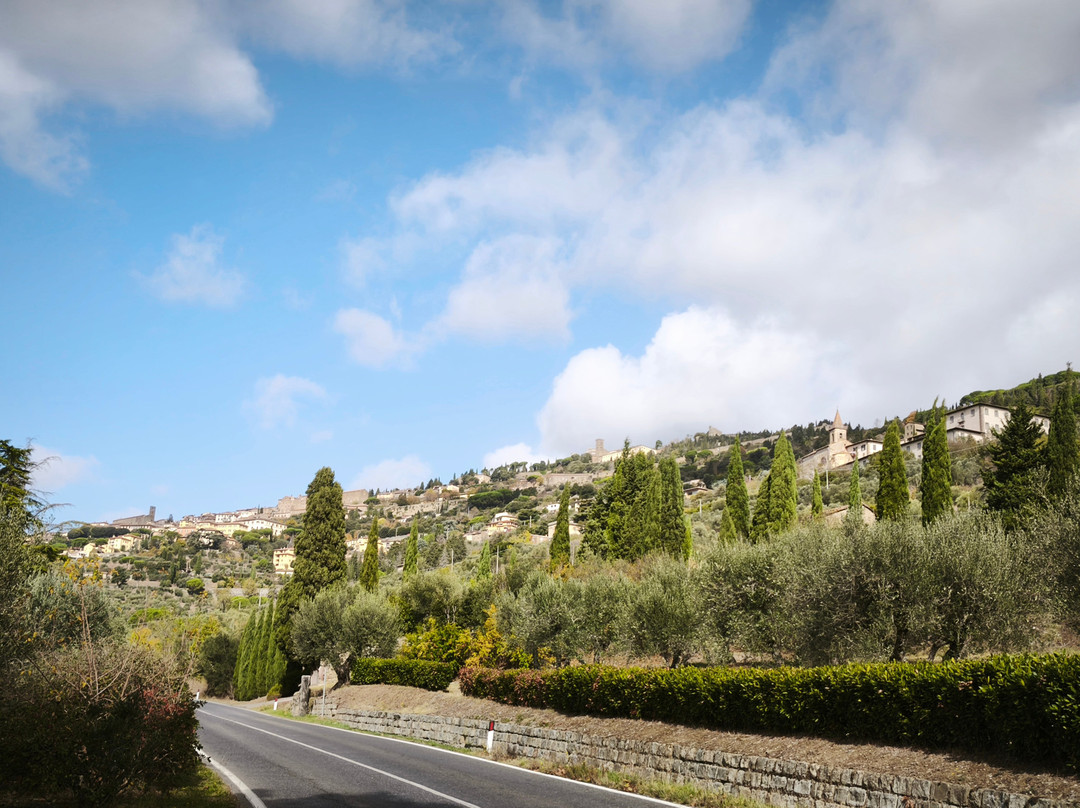 Ecologico Tours & Meravigliosa Umbria-Rivotorto必去景点