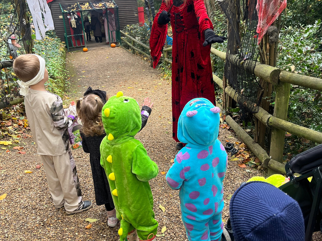 Wonderland-特尔福德必去景点