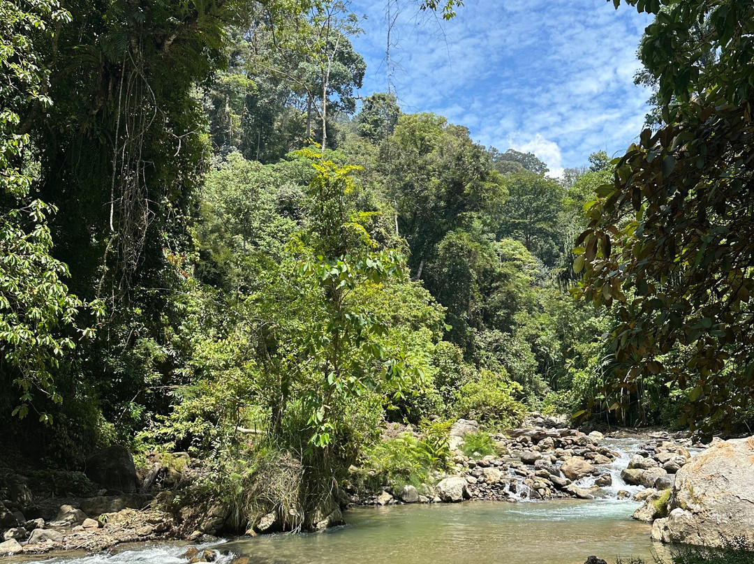 Rudy Ketambe Sumatra Jungle Trekking-Ketambe必去景点
