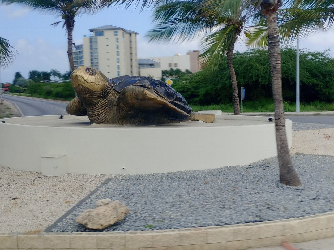 Fofoti Tours & Transfers-奥腊涅斯塔德必去景点