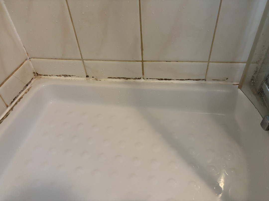 Pensiunea La Maison主图