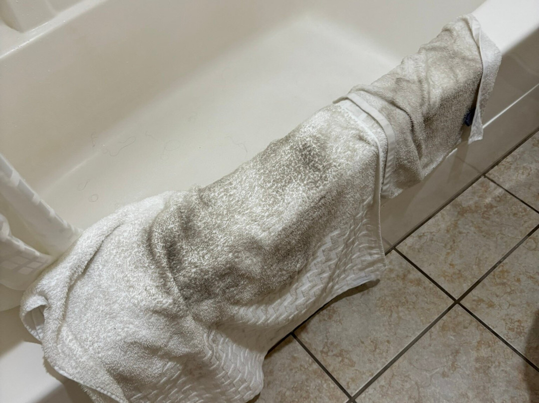 贝斯特韦斯特奥格尔斯比酒店主图