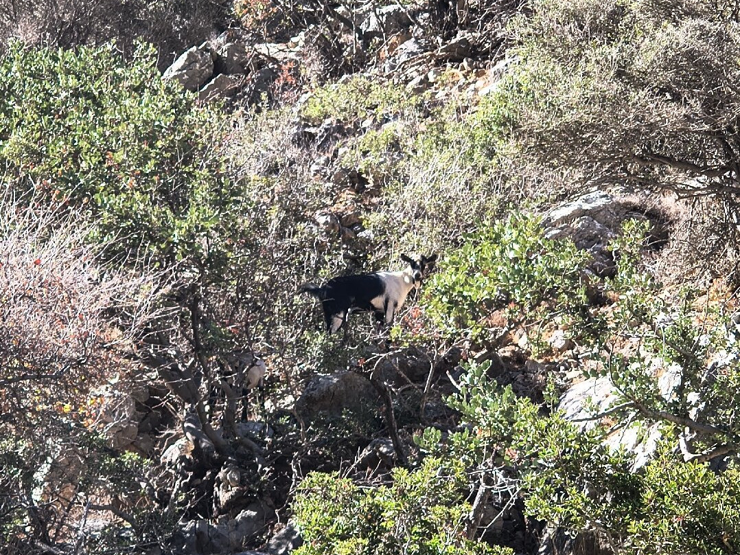 Aposelemis canyon-Analipsi必去景点