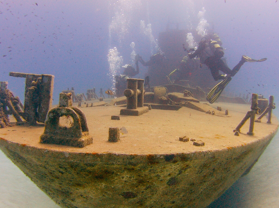 Paradise Diving Malta-史克华必去景点