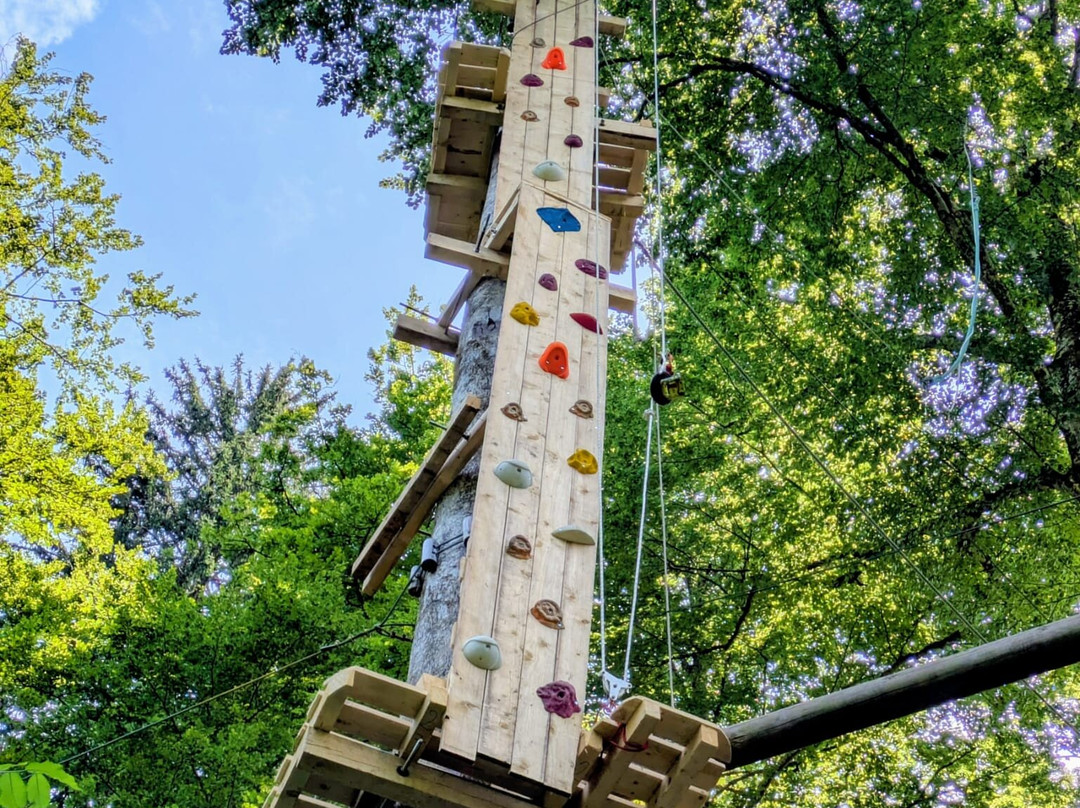 Gr Aventure Accroparc-Bellevaux必去景点