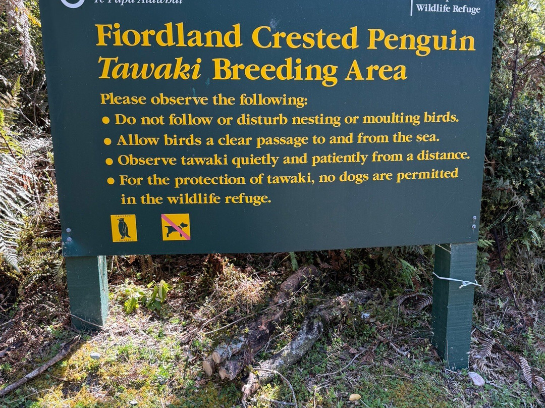 Monro Beach-Lake Moeraki必去景点