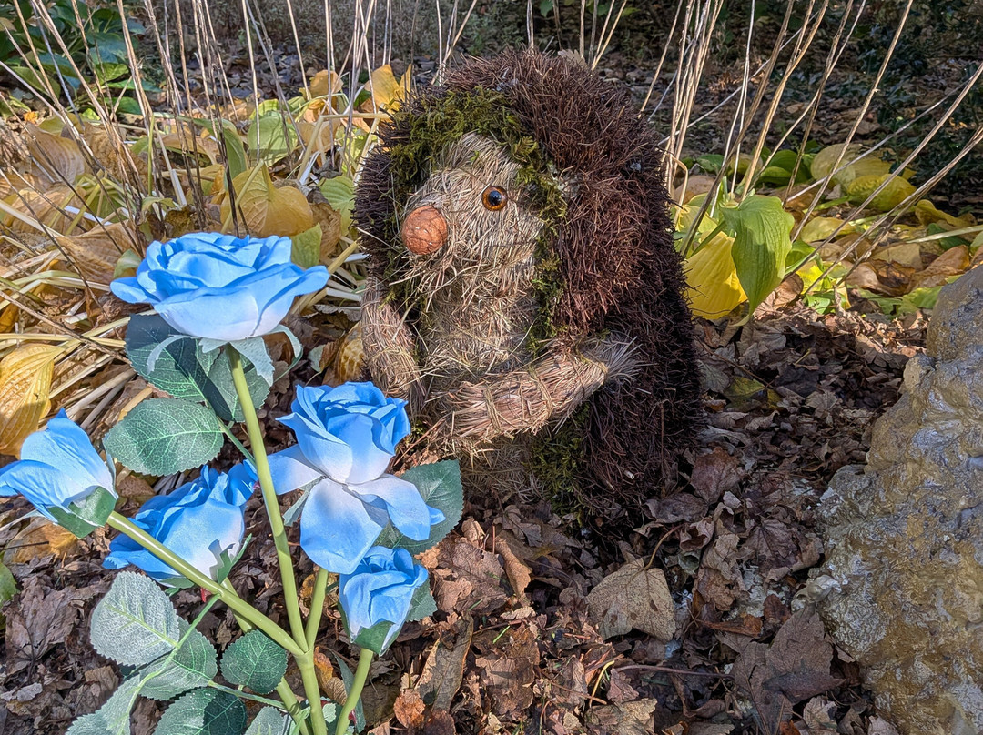 Montalto Estate-Ballynahinch必去景点