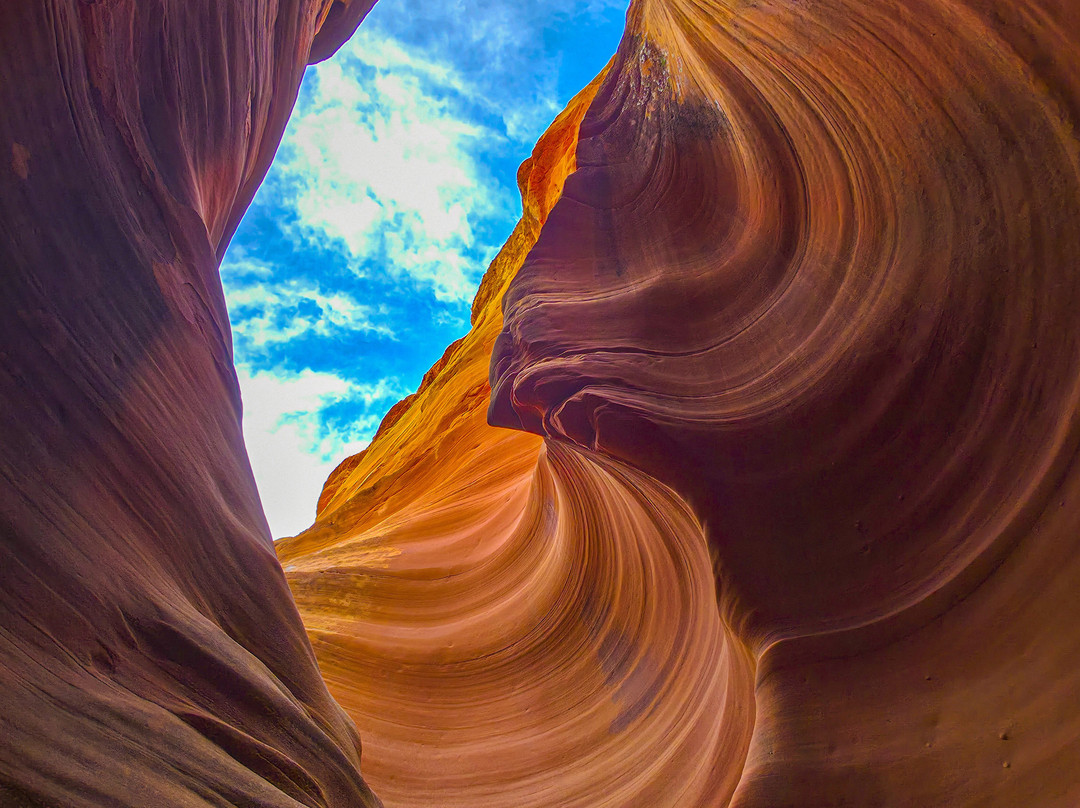 Black Streak Canyon Tours-佩吉必去景点