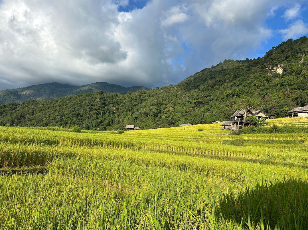 Thai Eco Trek Adventure-清迈必去景点