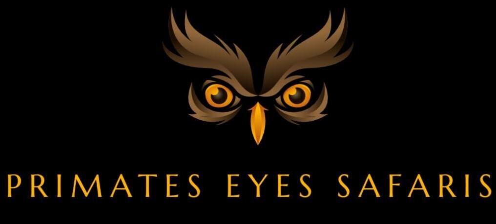 Nyungwe National Park - Rwanda-Western Province必去景点