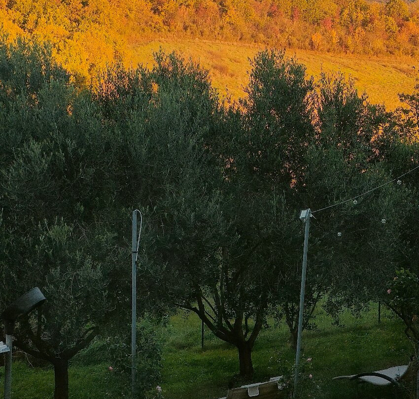 Agriturismo Prato degli Angeli主图