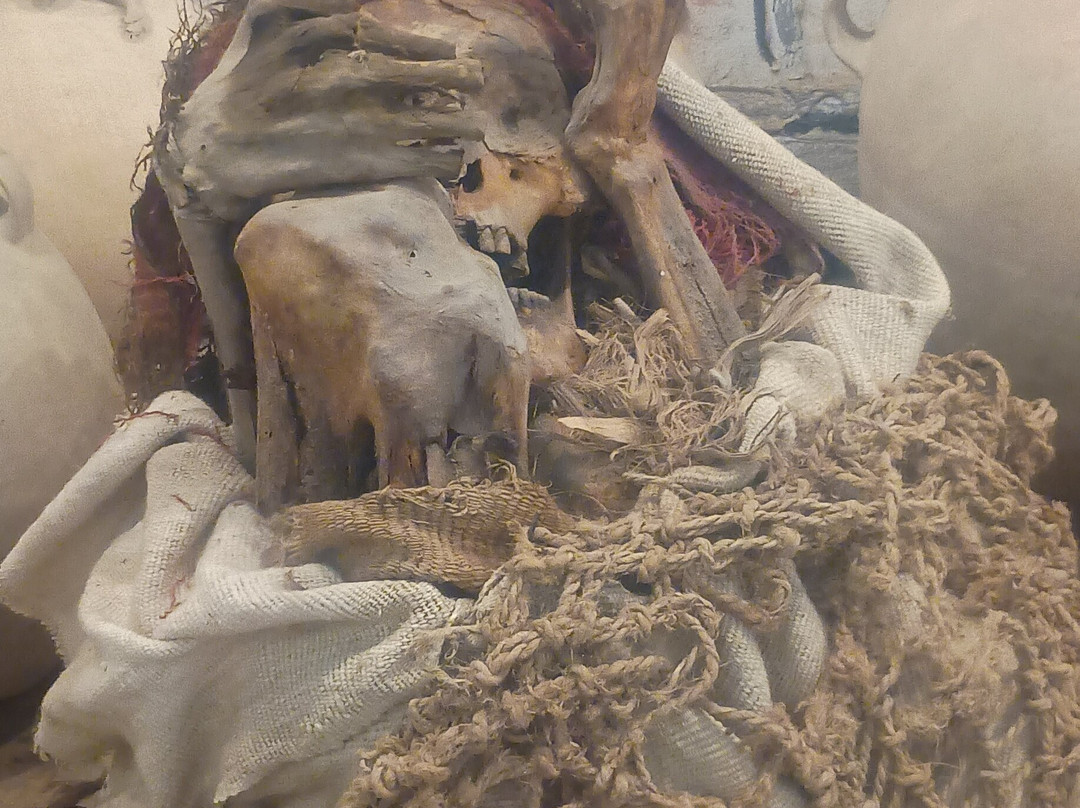 Castillo de Chancay-Chancay必去景点