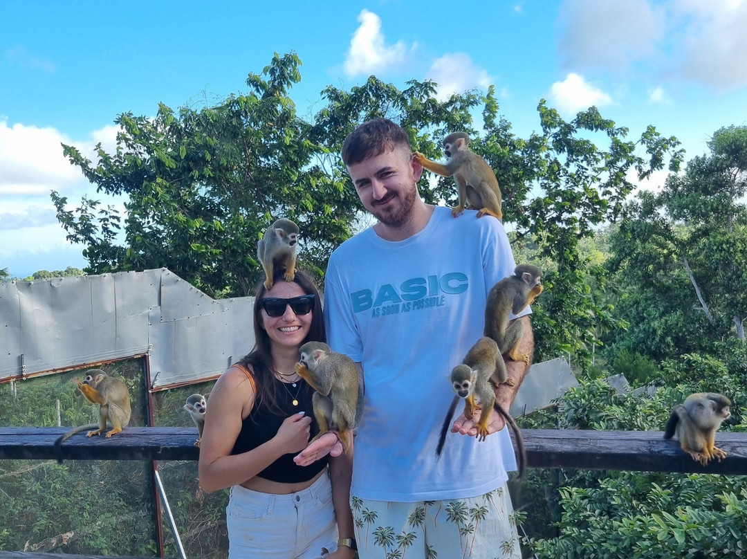 Monkeyland At Samaná-Santa Barbara de Samana必去景点