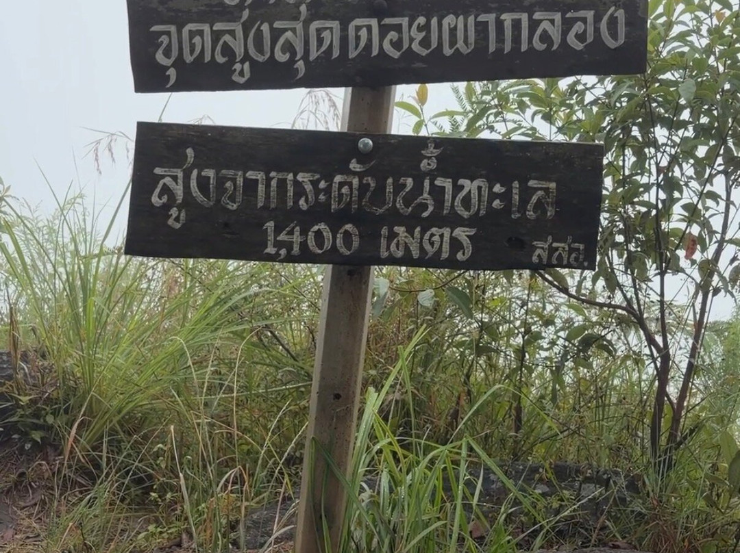 Happybirdtour-清迈必去景点