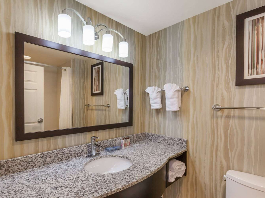 塔尔萨酒店住宿-La Quinta Inn & Suites By Wyndham Tulsa Midtown