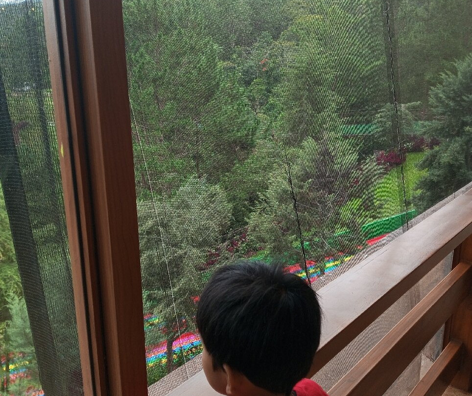 Dahilayan Forest Park Resort主图