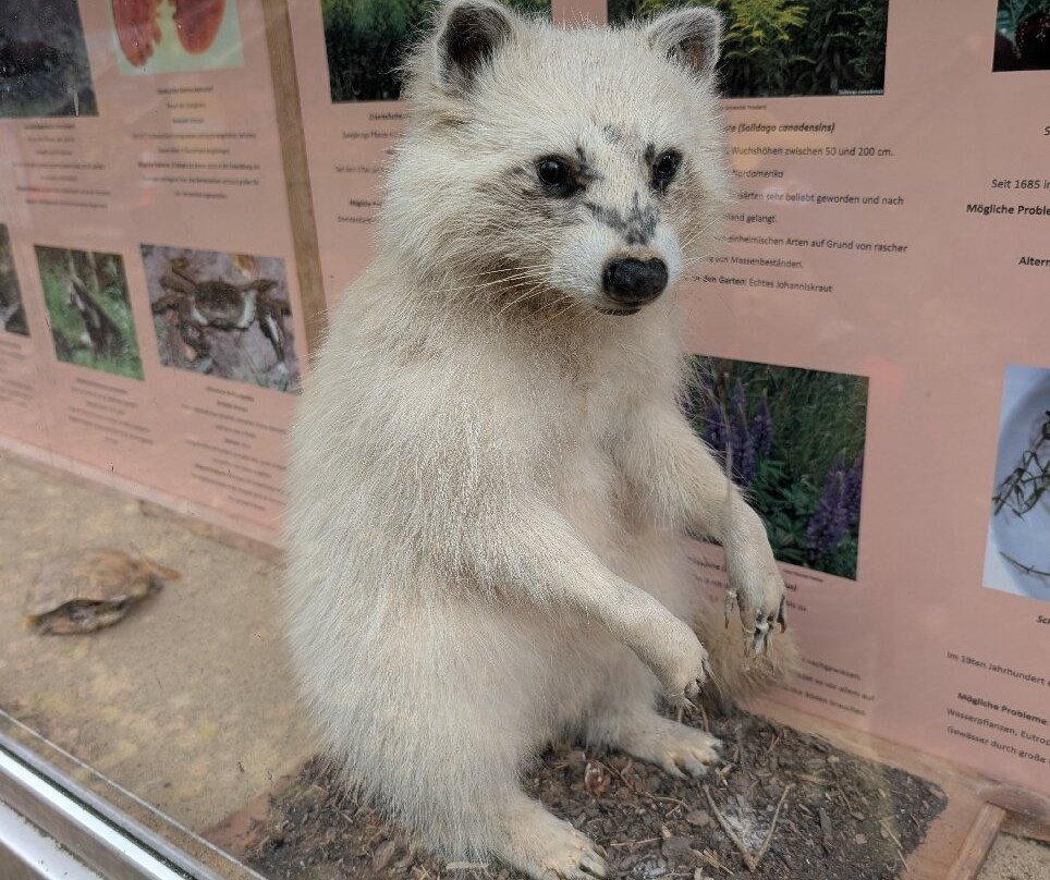 Tiergarten Eisenberg-Eisenberg必去景点