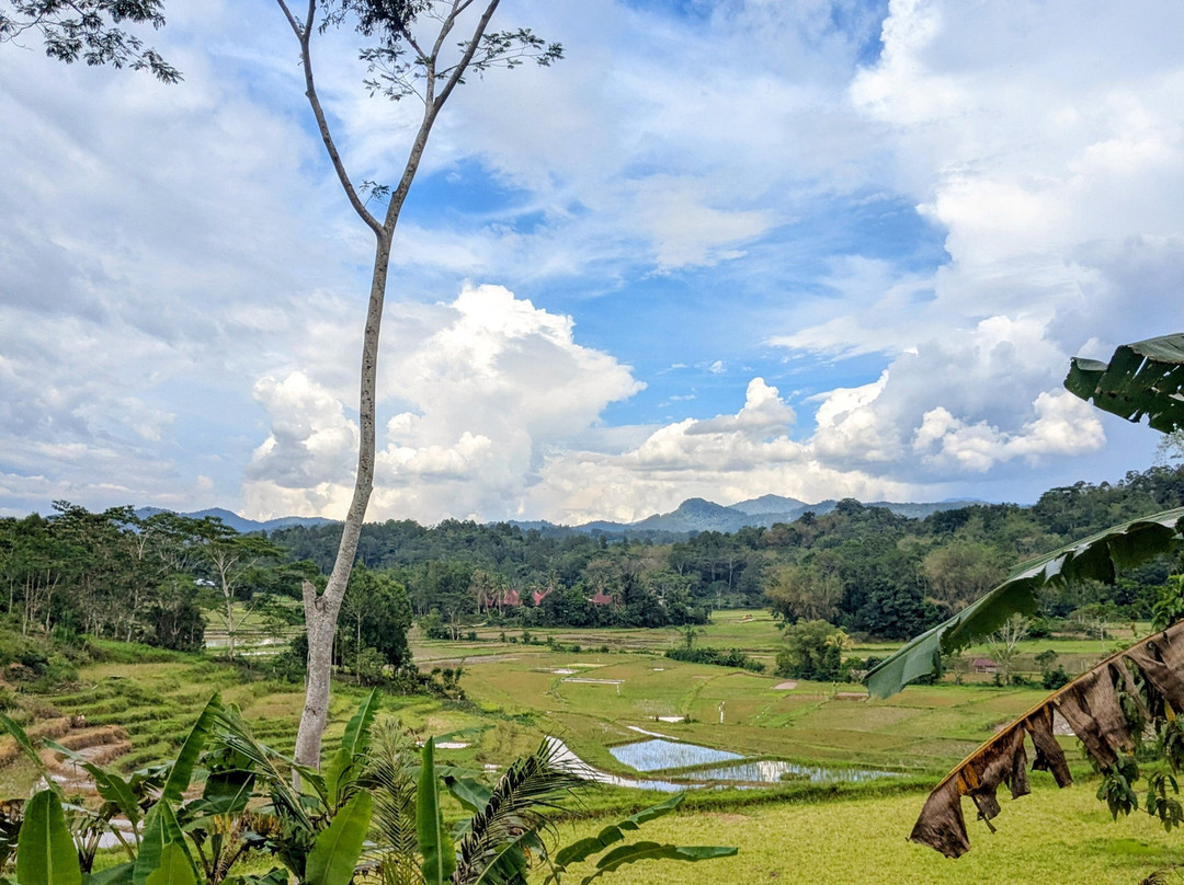 Toraja local guide-Tana Toraja必去景点