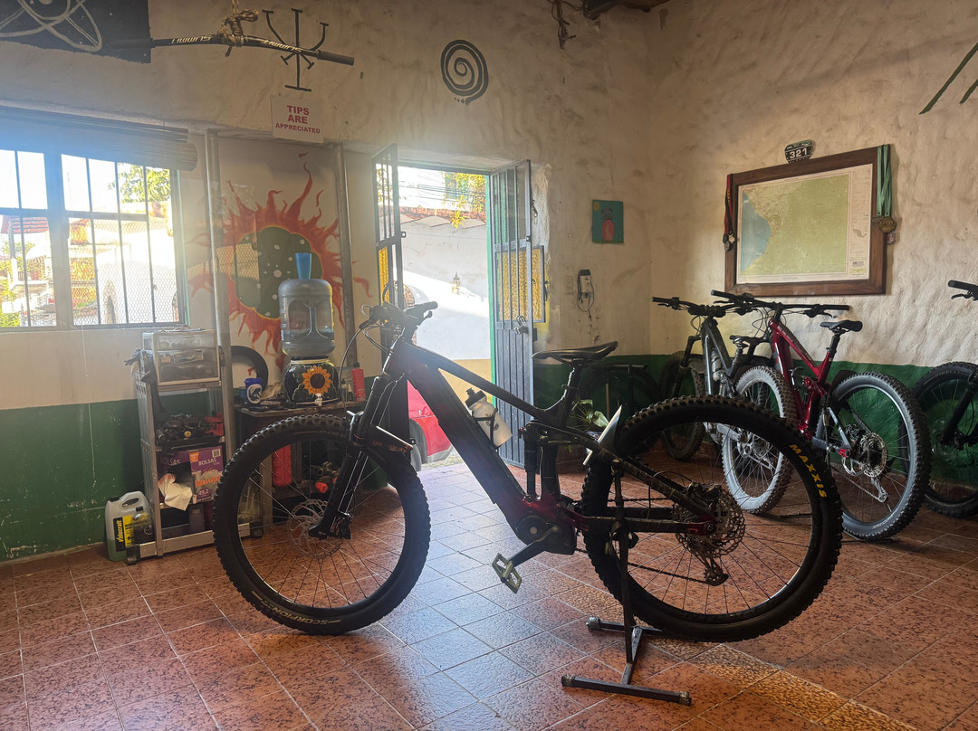 Eco Ride Mountain Bike & Hiking Tours-瓦拉塔港必去景点