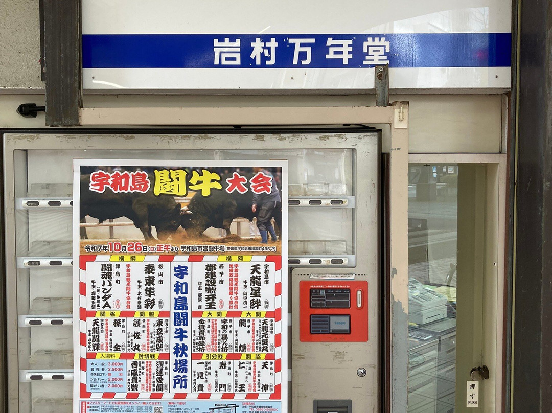 Uwajima City Bullfighting Arena-宇和岛市必去景点