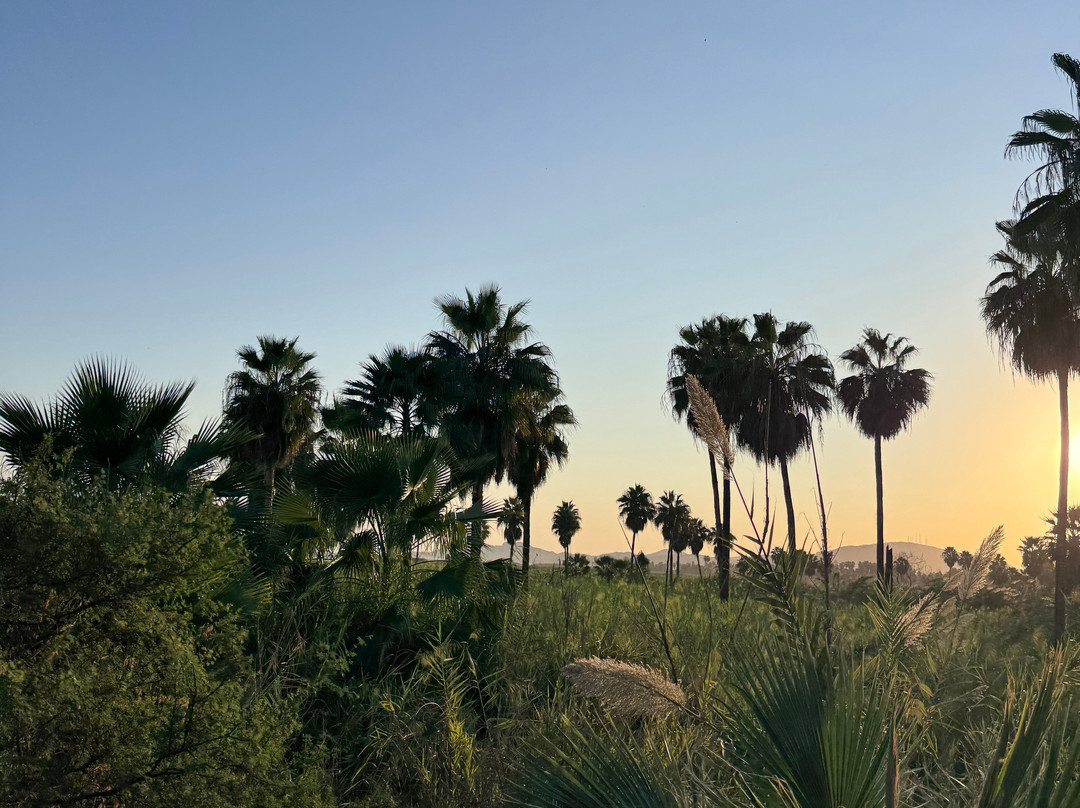 Rancho Animas-Animas Bajas必去景点