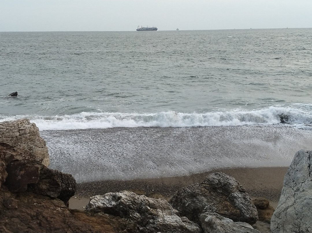 Koijigahama-田原市必去景点