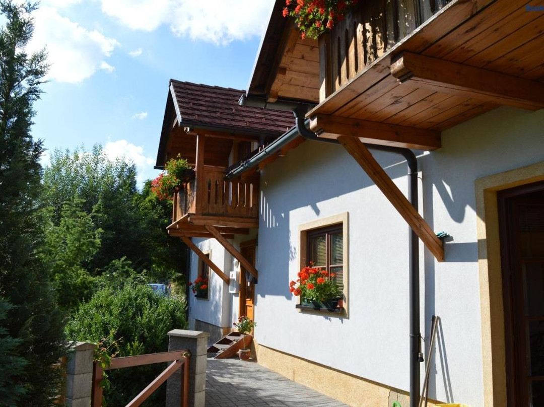 Penzion DRUHY DOMOV主图