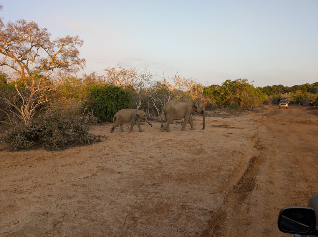 Lanka Tour Driver-Hingurakgoda必去景点