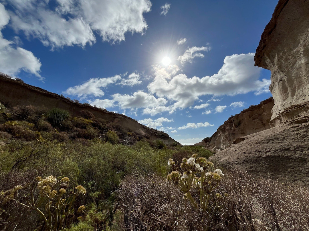 Reserva Ambiental de San Blas-圣米格尔德亚沃纳必去景点