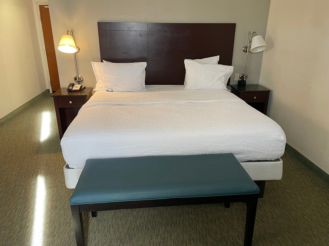 里士满南希尔顿恒庭酒店主图