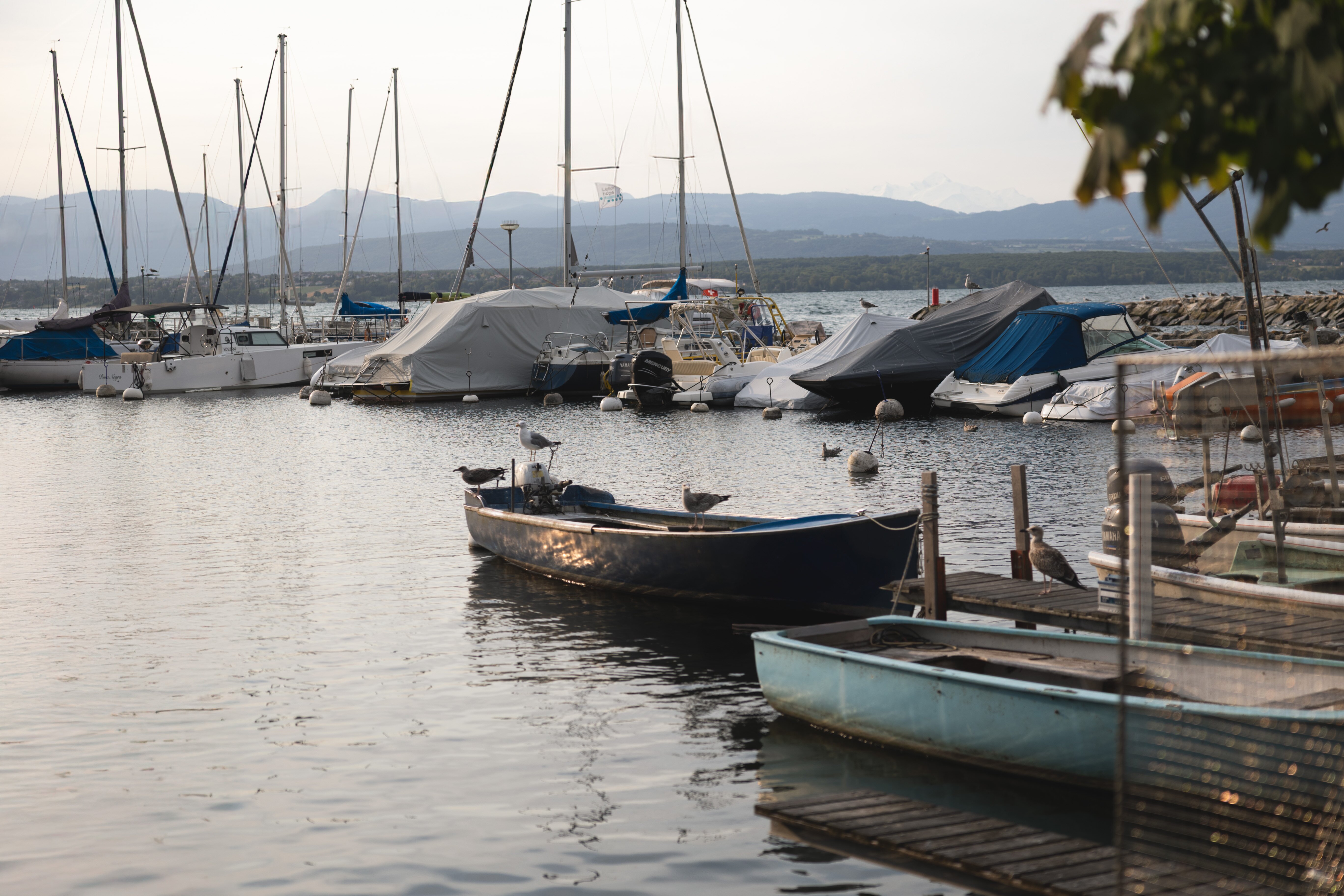 Maison du Lac Boutique Hotel-官方