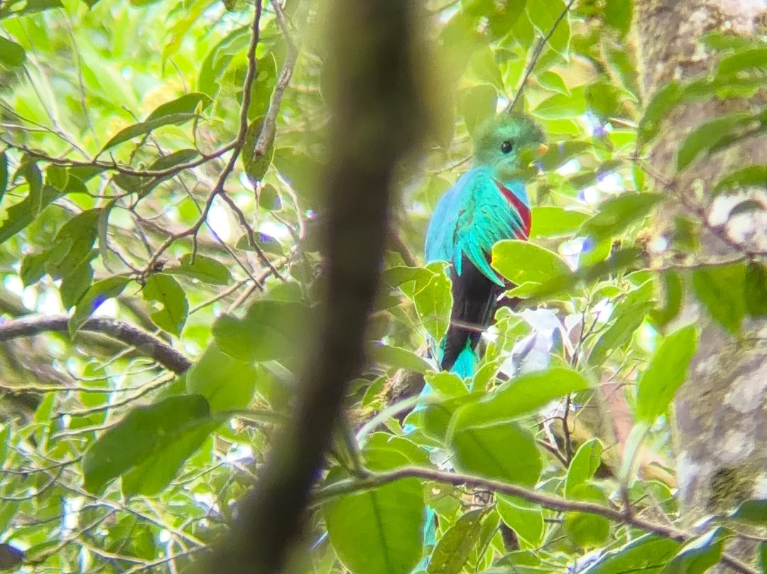 Woodpecker Educational Tours-Canas必去景点