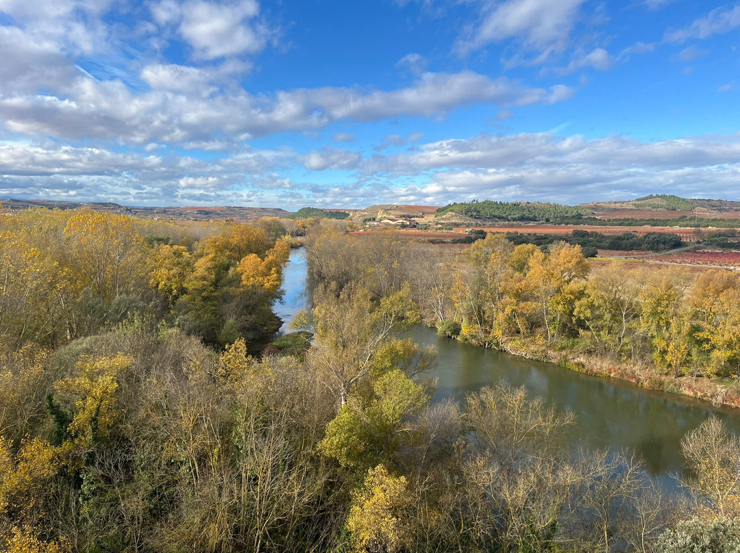 Bodega Finca Valpiedra-Fuenmayor必去景点