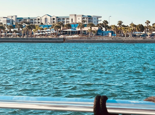 Sail Wild Hearts-橙色海湾必去景点