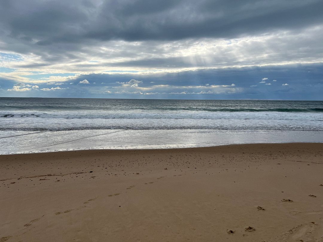East Beach-Charlestown必去景点