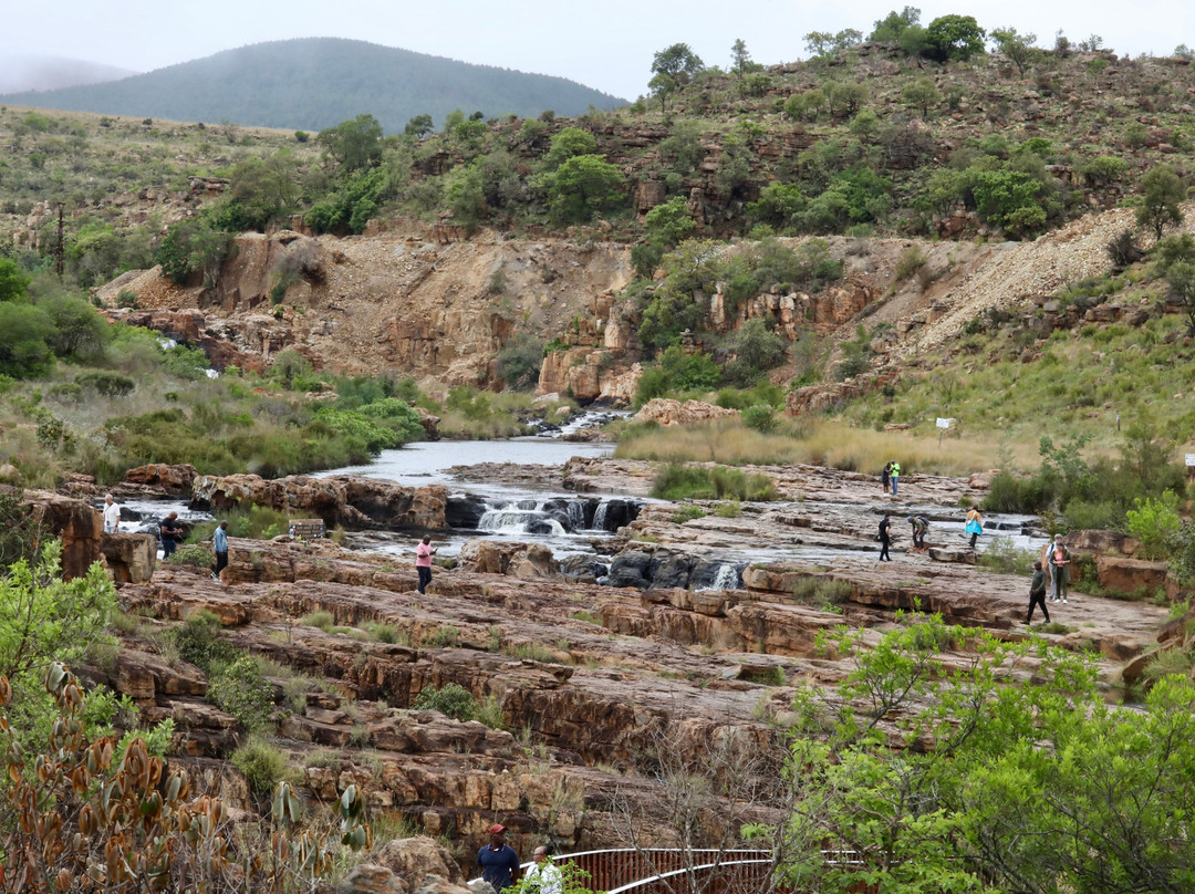Endless Summer Tours-德班必去景点