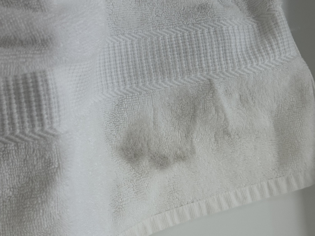 Comfort Suites Columbia主图