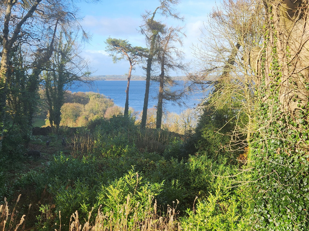 Ross Castle B&B主图