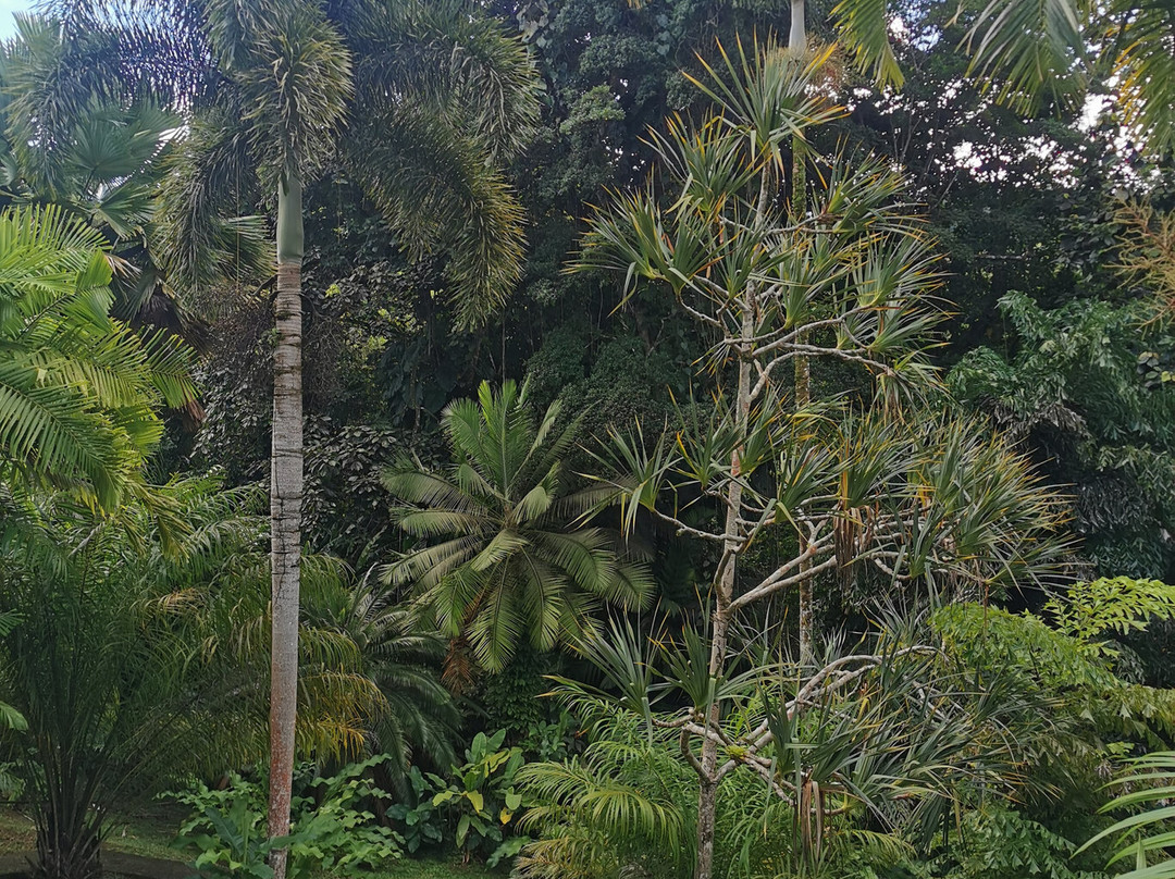 Jardin Botanique de Valombreuse-Petit-Bourg必去景点