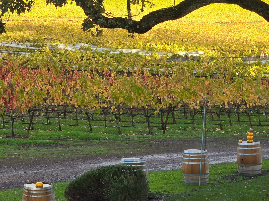 Summerwood Winery & Inn主图