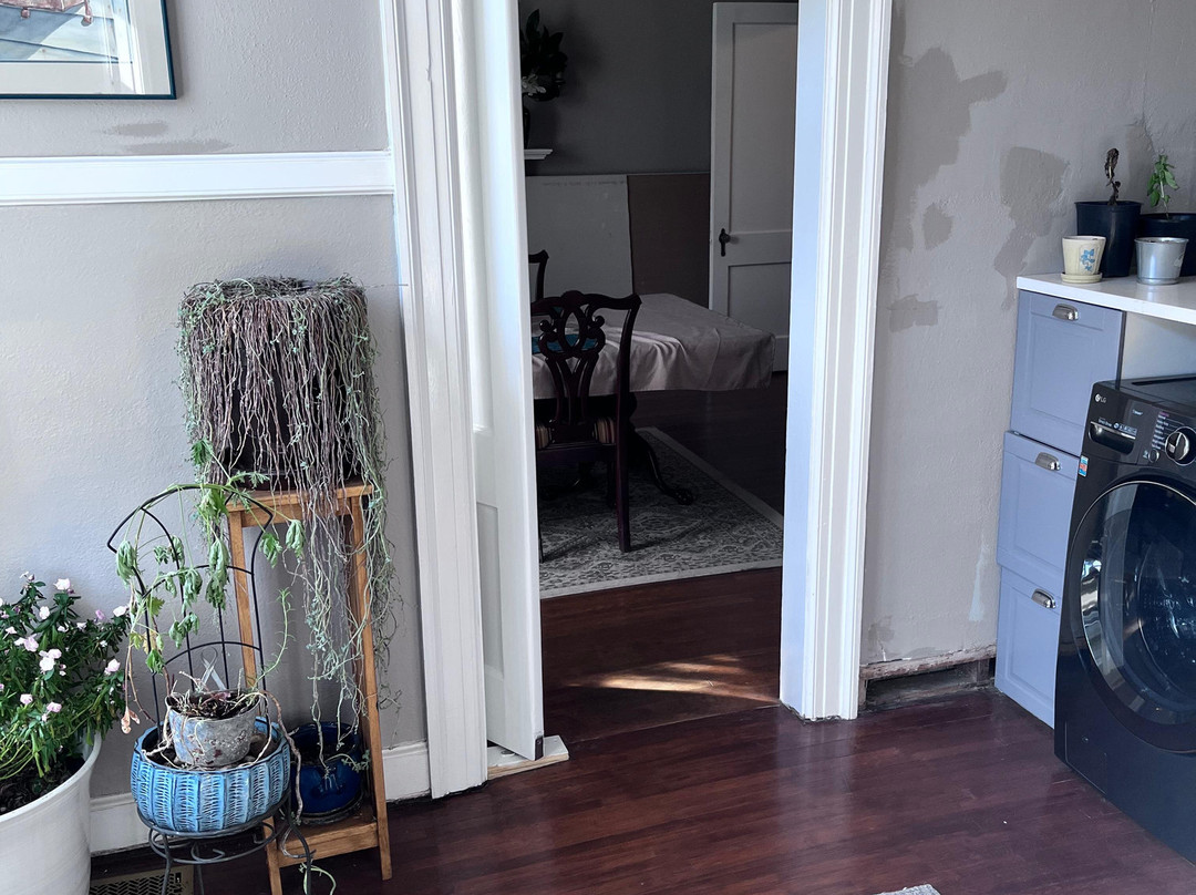 The Book and the Spindle主图