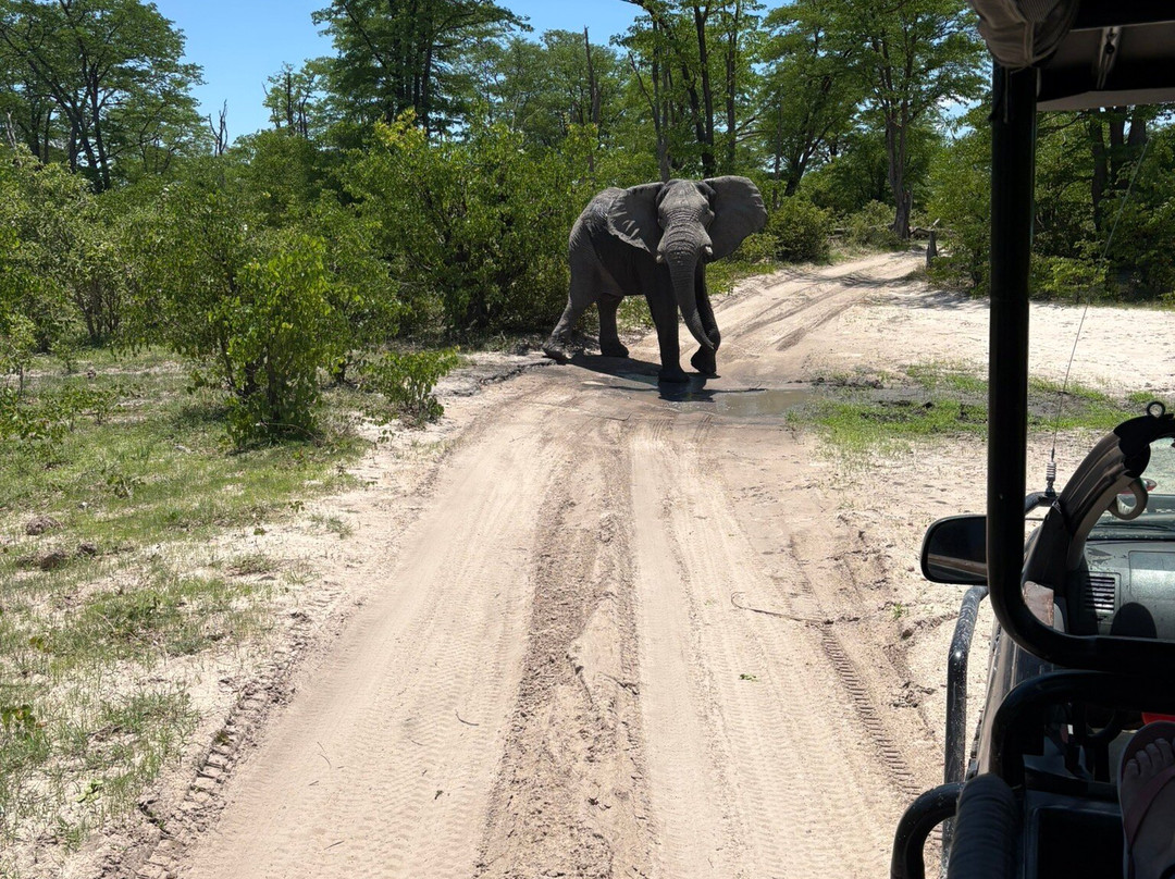 Island Mobile Safaris-马翁必去景点