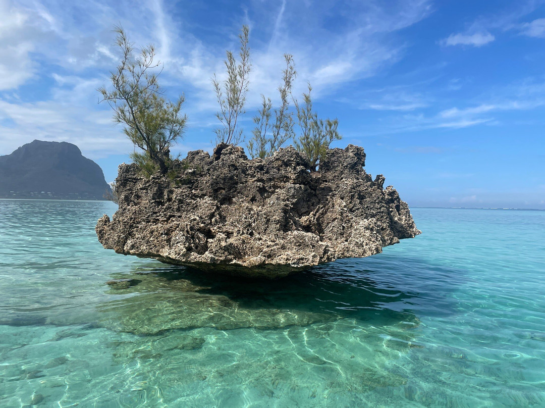 Dolphin Warrior-La Gaulette必去景点