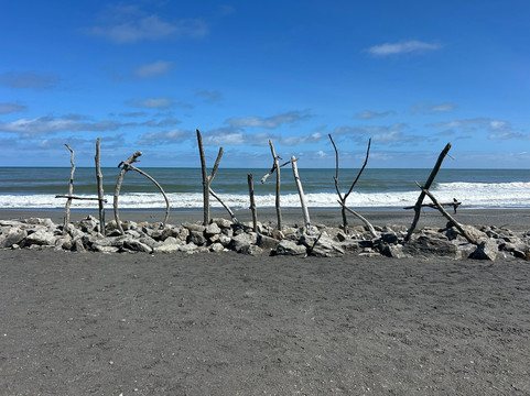 Mondumo Tours-奥克兰必去景点