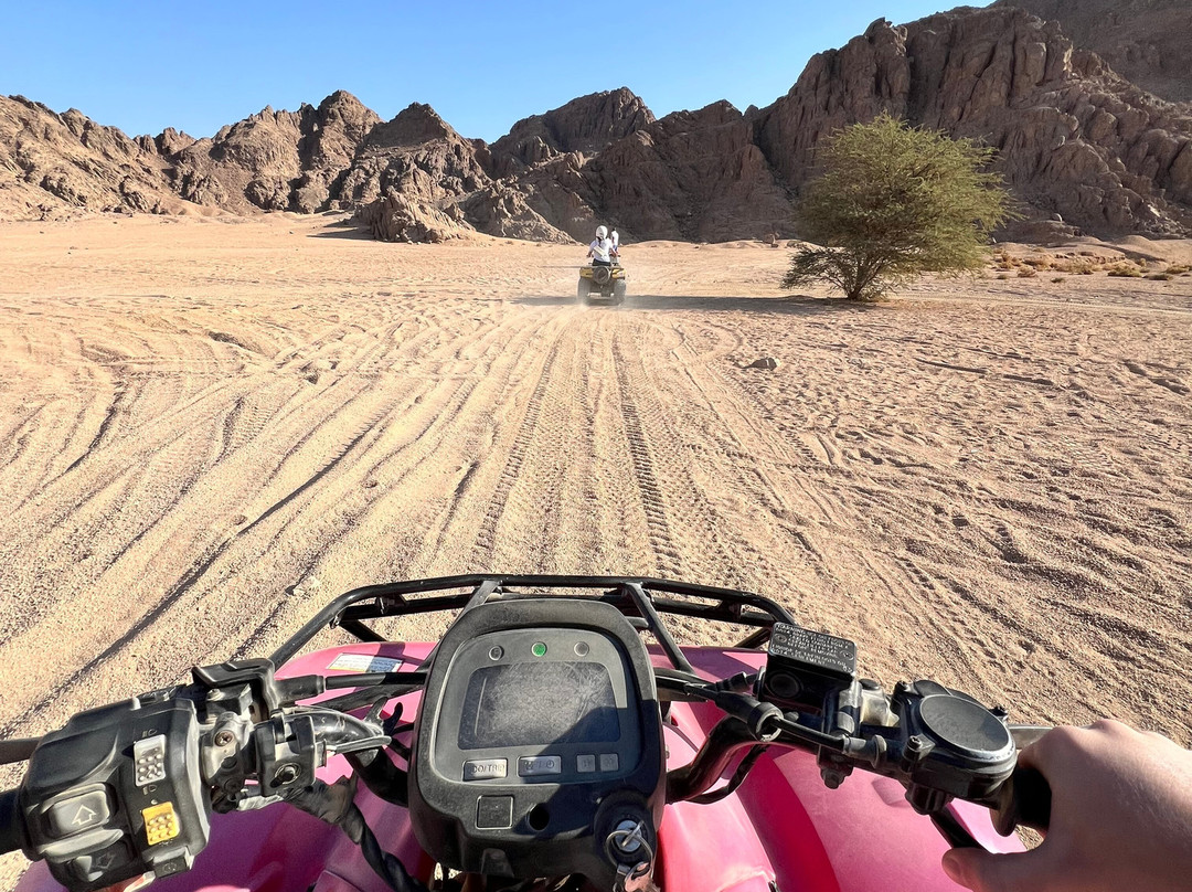 El Sherif Safari-沙姆沙伊赫必去景点