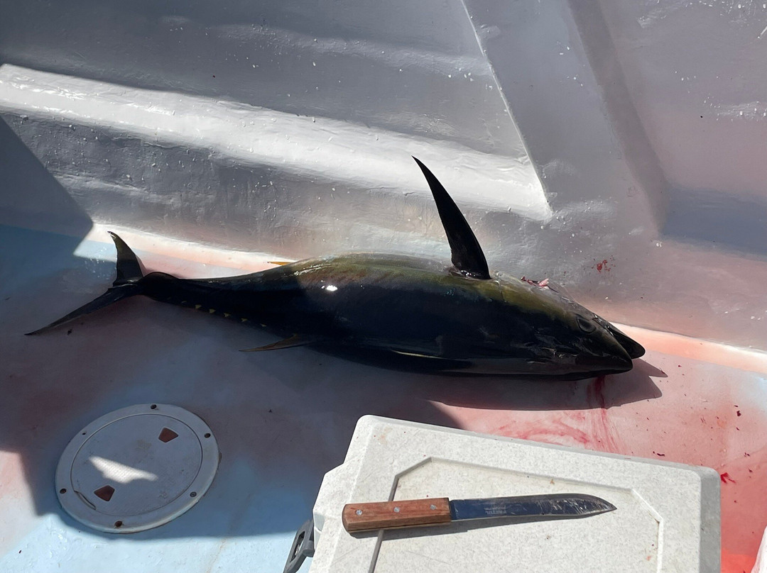 Samara Deep Sea Fishing And Lodge-萨玛拉滩必去景点