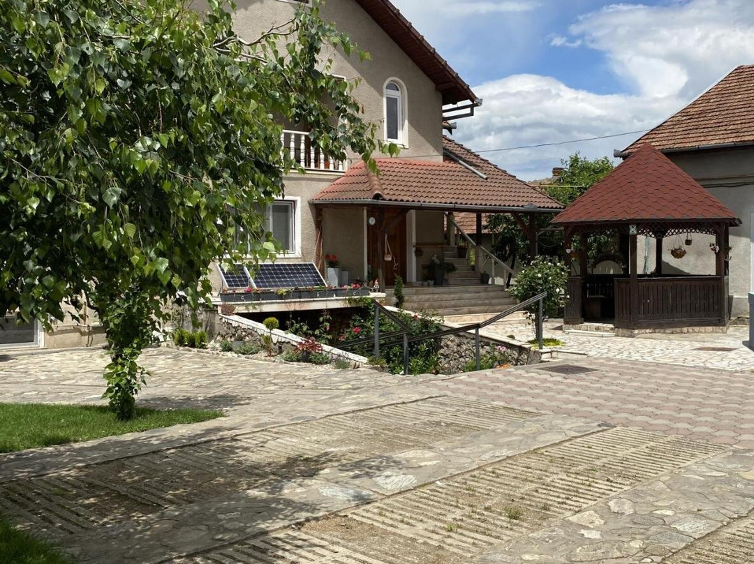 Pensiunea Rosu