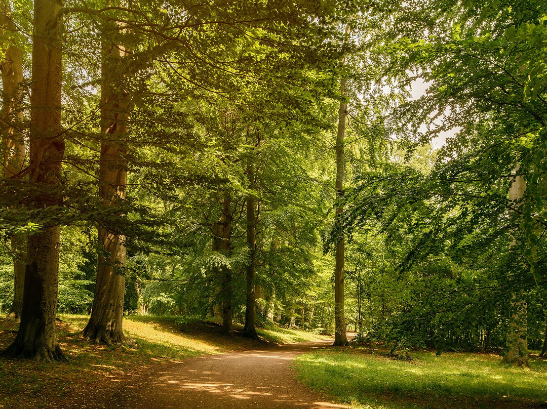 Schloss Friedenstein-Gotha必去景点