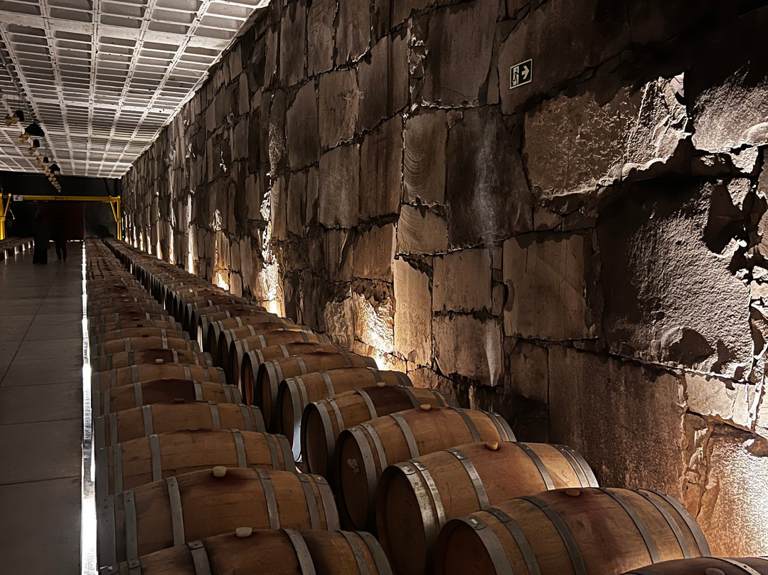 Martelli: Passeios e Bike Experience-Garibaldi必去景点