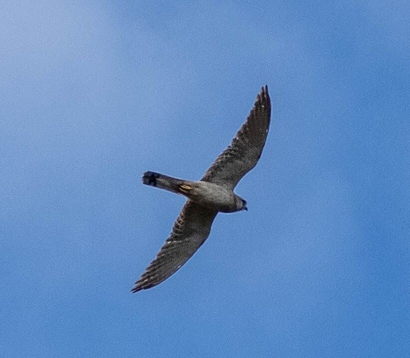 Australian Geographic Travel-悉尼必去景点